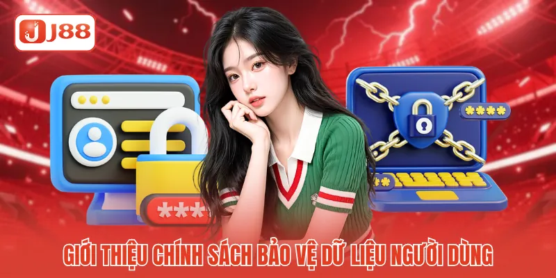 Giới thiệu chính sách bảo vệ dữ liệu người dùng 