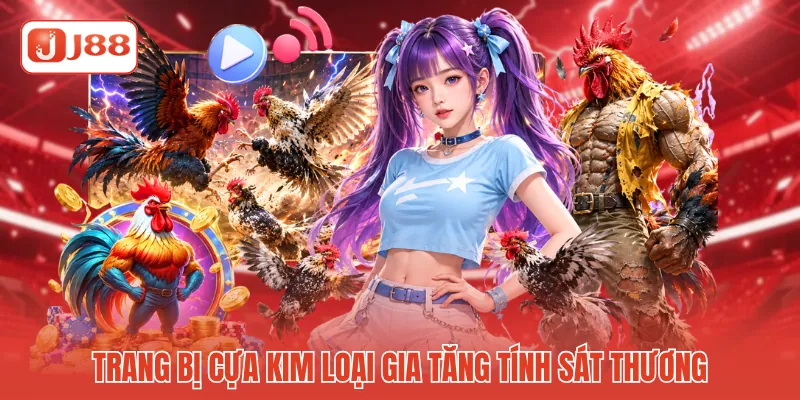 Trang bị cựa kim loại gia tăng tính sát thương